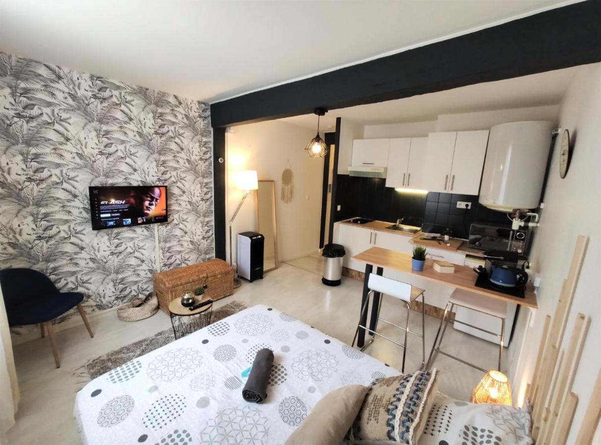 Le Jasmin Des Carmes - Hypercentre - Netflix Apartment Toulouse Exterior foto